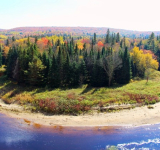 پارک استانی اروهد